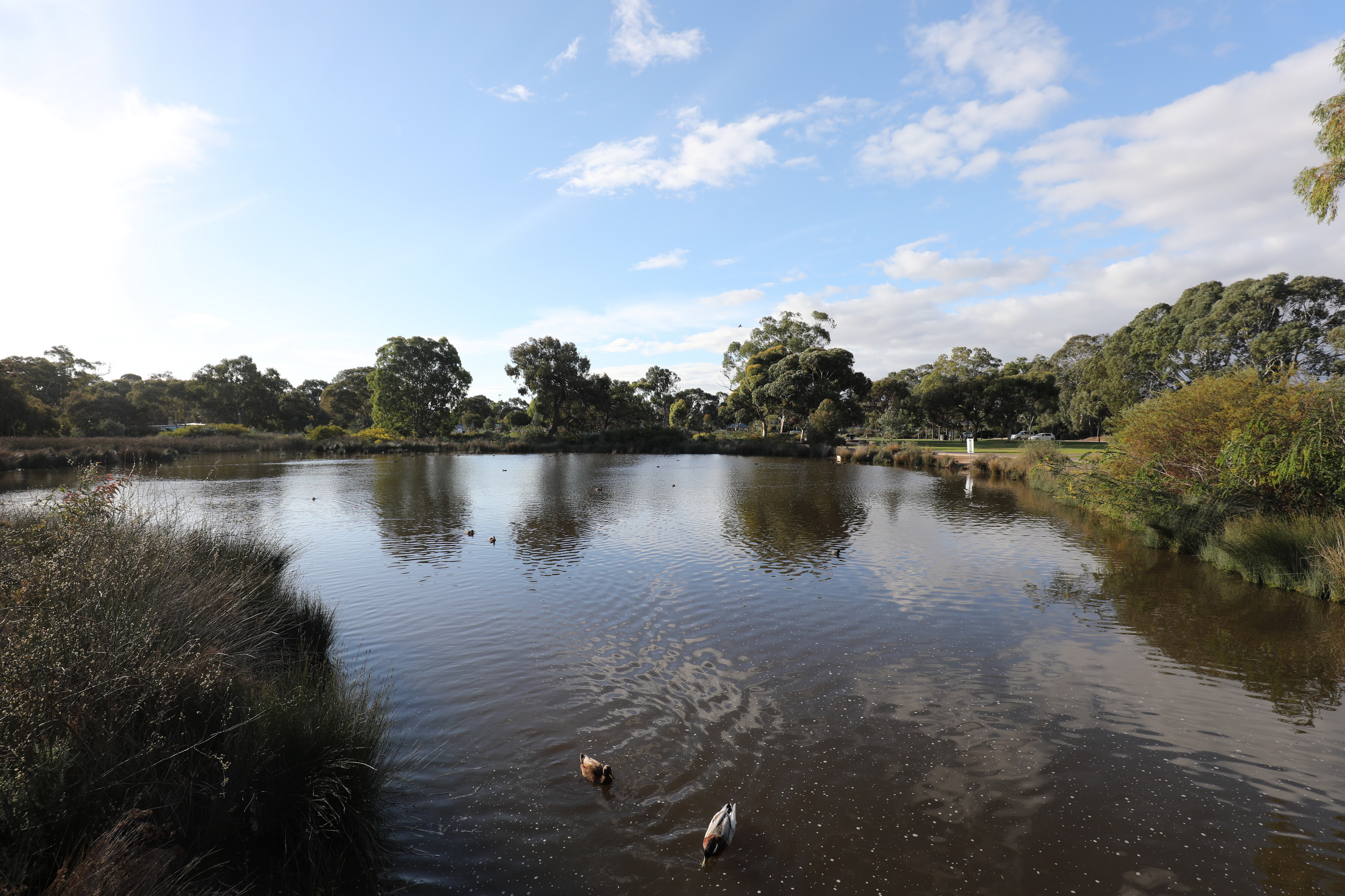 2019 08 25 16 13 31 Canon EOS 5D Mark IV 0014